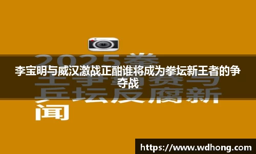 李宝明与威汉激战正酣谁将成为拳坛新王者的争夺战